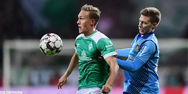 Werder Bremen - Hoffenheim: 1-1