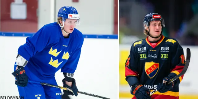 Succéspelaren: ”NHL är ett mål”