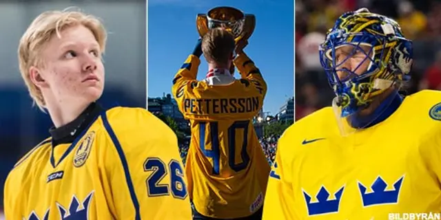 Sveriges World Cup-lag 2020: ”Målvaktssidan ett frågetecken” 