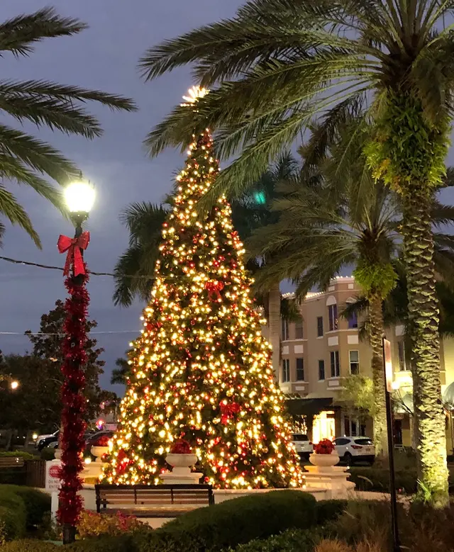 God Jul i västra Florida