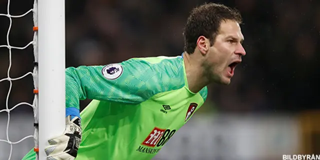 Asmir Begovic