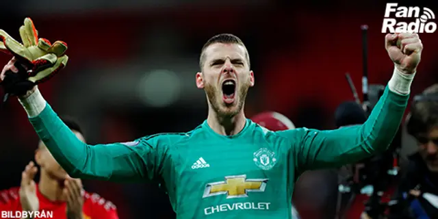 Nyhetspanelen om David De Gea