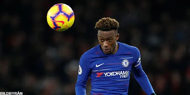 Zola: 'Hudson-Odoi är uppskattad'