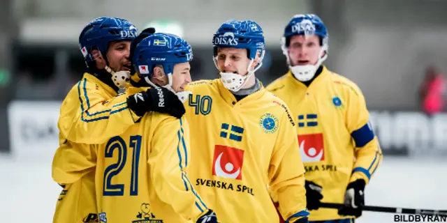 Sverige kan stå som värd för bandy-VM 2023