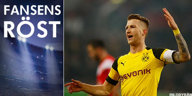 Fansens röst: Anton Wall om Borussia Dortmunds chanser mot Tottenham