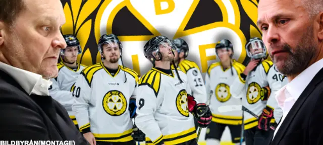 Summering av Brynäs säsong - 2018/2019