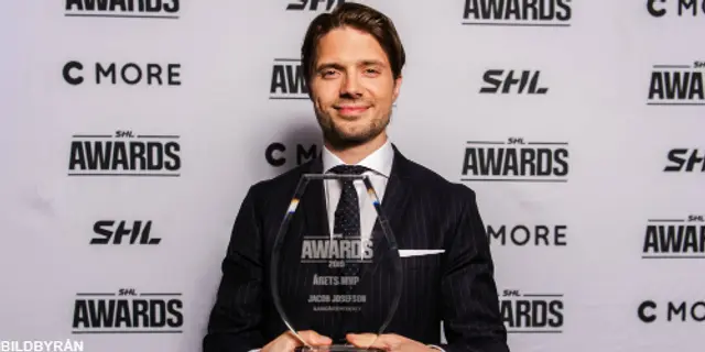 De blev vinnarna på SHL-Awards 