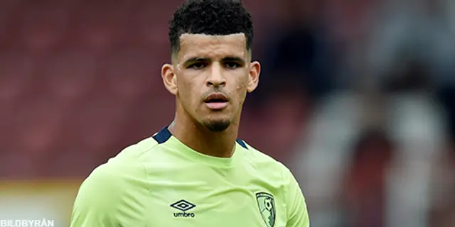 9. Dominic Solanke