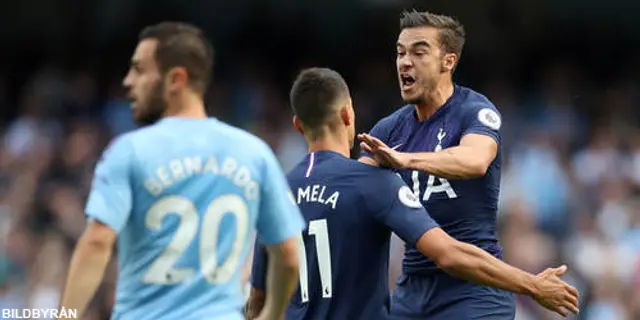 Harry Winks till Italien