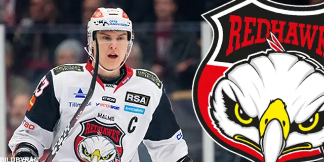 SvenskaFans rankar SHL: 10. Malmö
