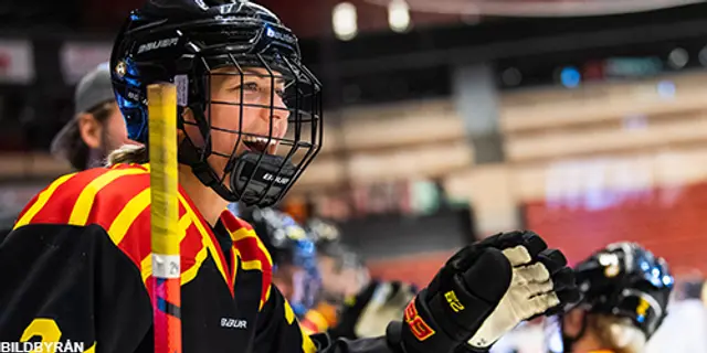 SDHL: Brynäs favoriter inför kvartsfinalen