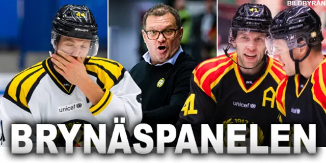 Brynäspanelen: "Folkhälsan går före ishockeyn"