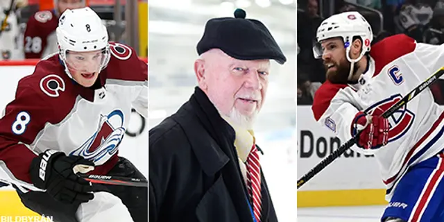 Veckans NHL: ”Ett sagolikt volleyskott” 