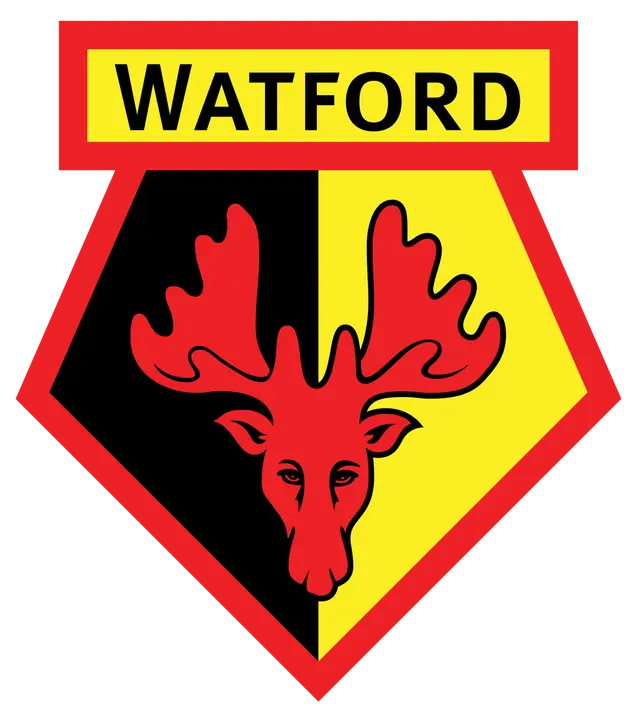 Ed Still ny huvudtränare för Watford 