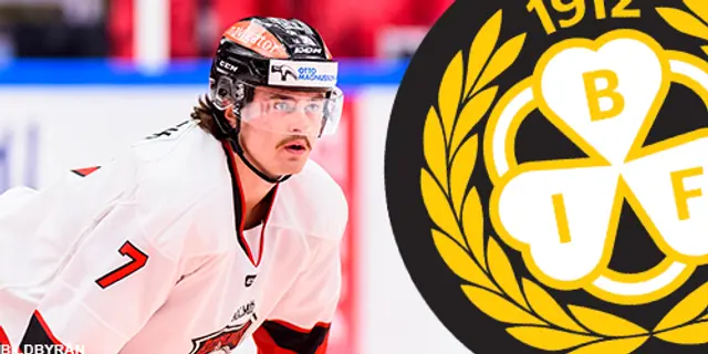 Backbeståndet i SHL och i Brynäs 2020/2021 - Del 1