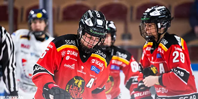 Krönika: Det är för stora klasskillnader i SDHL
