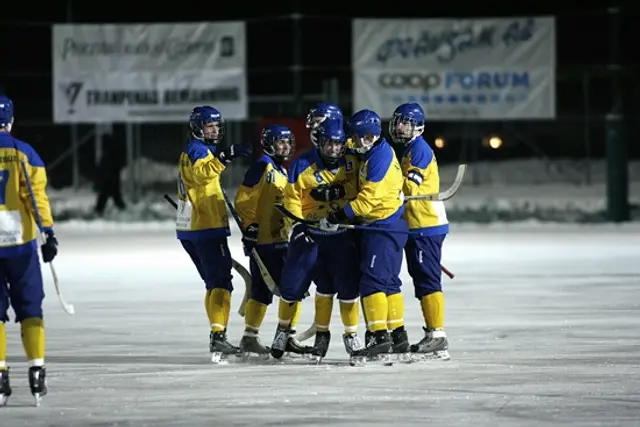 Inf&ouml;r Link&ouml;ping - Bryn&auml;s