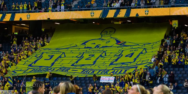 Bildextra: Hög publiksång när Sverige mötte Serbien
