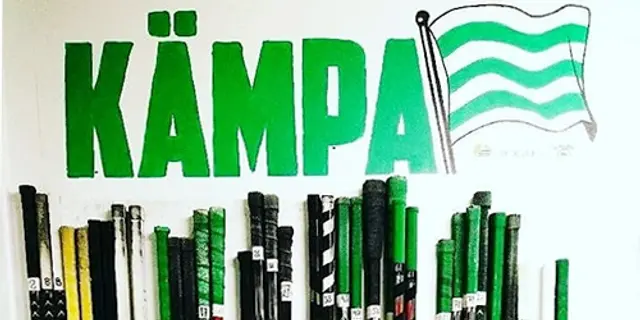 Hammarby Hockey, från groda till prins