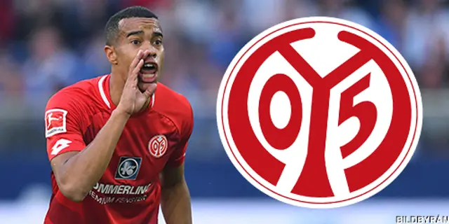 Bengt Kleijn om sitt supporterskap till Mainz 05