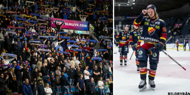 Dyster trend för Djurgården Hockey