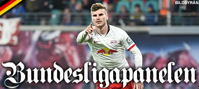 Bundesligapanelen: ”Inte säker på att det blir succé”