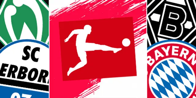 Wollin förutspår lördagens matcher i Bundesliga