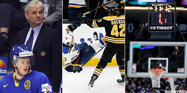Hur ser framtidens hockey ut? 