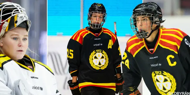 ANALYS: Unik genomgång av Brynäs SDHL-lag