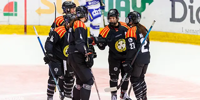 SDHL: Brynäs nollade och sänkte AIK