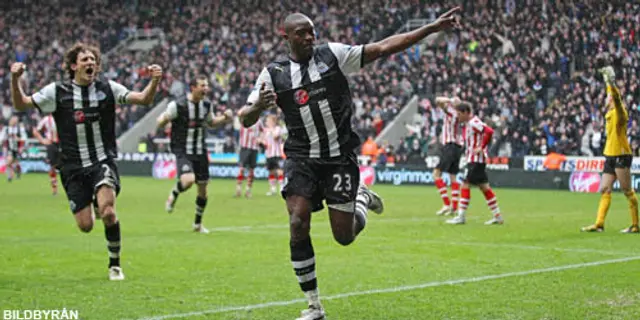 Shola Ameobi