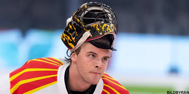 Rubins tredje nolla sänker Brynäs