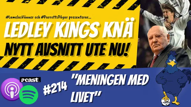 Ledley Kings Knä #214: Meningen med livet