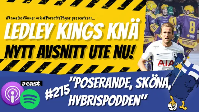 Ledley Kings Knä #215: Poserande, sköna, hybrispodden