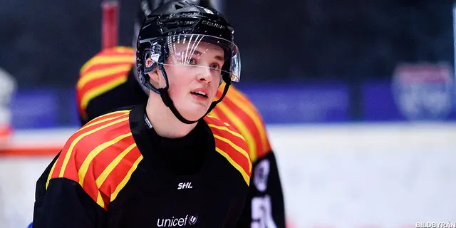 Gunler: "Just nu är det väldigt roligt att spela hockey"