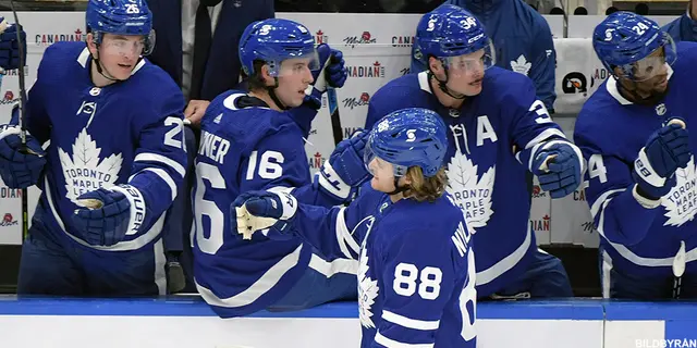 Om klubben Toronto Maple Leafs