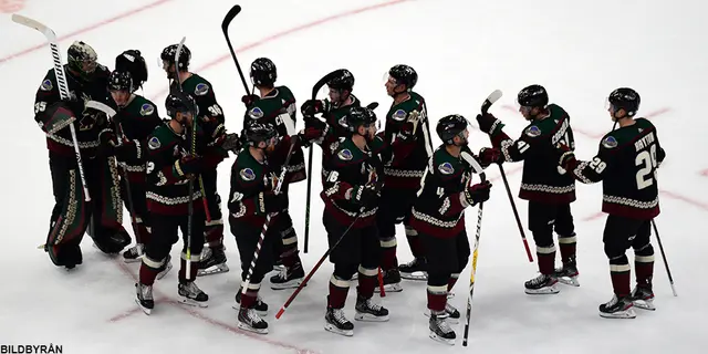 Coyotes bröt Knights segersvit – se nattens mål här!