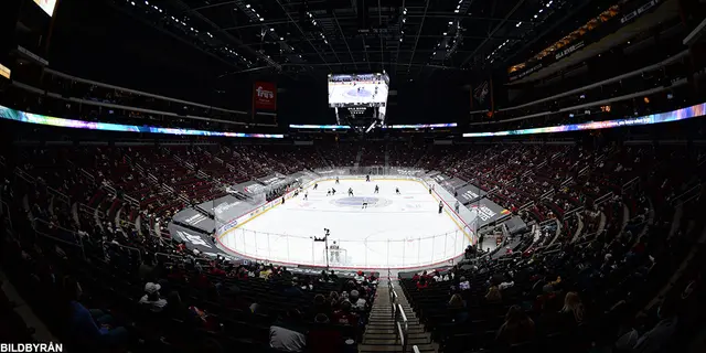 Arizona Coyotes 