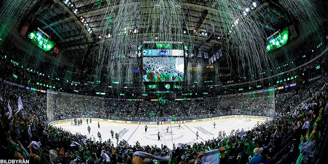 Dallas Stars 