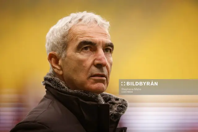 Farväl Raymond Domenech