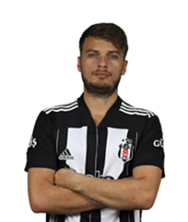 Adem Ljajic