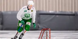 Niklas Gifting
