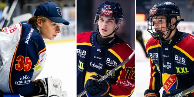 Djurgårdarna som kan väljas i draften