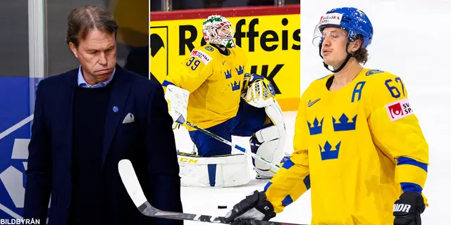 VM-panelen: ”Vill se en nystart inom förbundet”