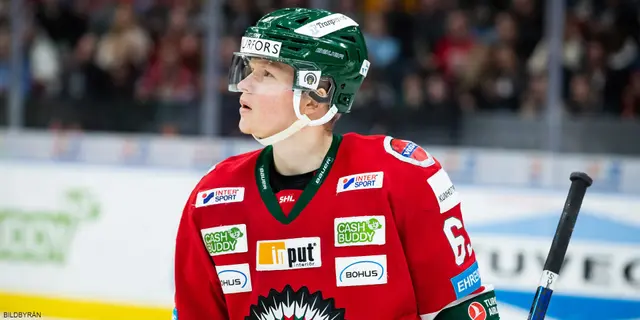 Brynäs värvar Julius Bergman