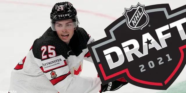 Så gick det i NHL-draften