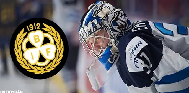 Nu ska lejonet bli en tiger – Brynäs värvar finsk målvakt