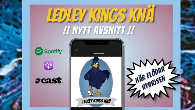 Ledley Kings Knä #253: No likey chicken badge