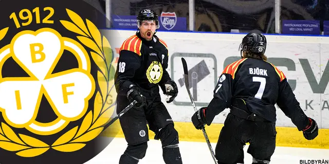 SvenskaFans rankar SHL – 12: Brynäs