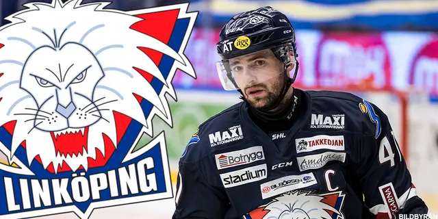 SvenskaFans rankar SHL – 11: Linköping 